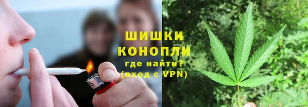 трава Медвежьегорск