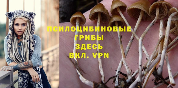 хмурый Магадан