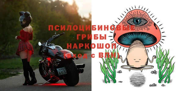 прущие крисы Магас