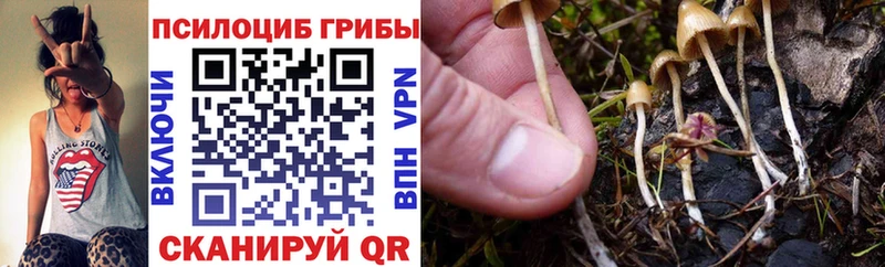 Галлюциногенные грибы Psilocybine cubensis  Салават 