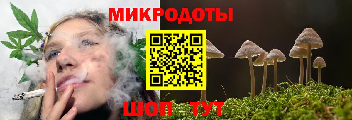 Салават  Псилоцибиновые грибы ЛСД  купить  сайты  Вход с VPN 