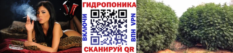сколько стоит  Салават  мега tor  Бошки марихуана планчик 